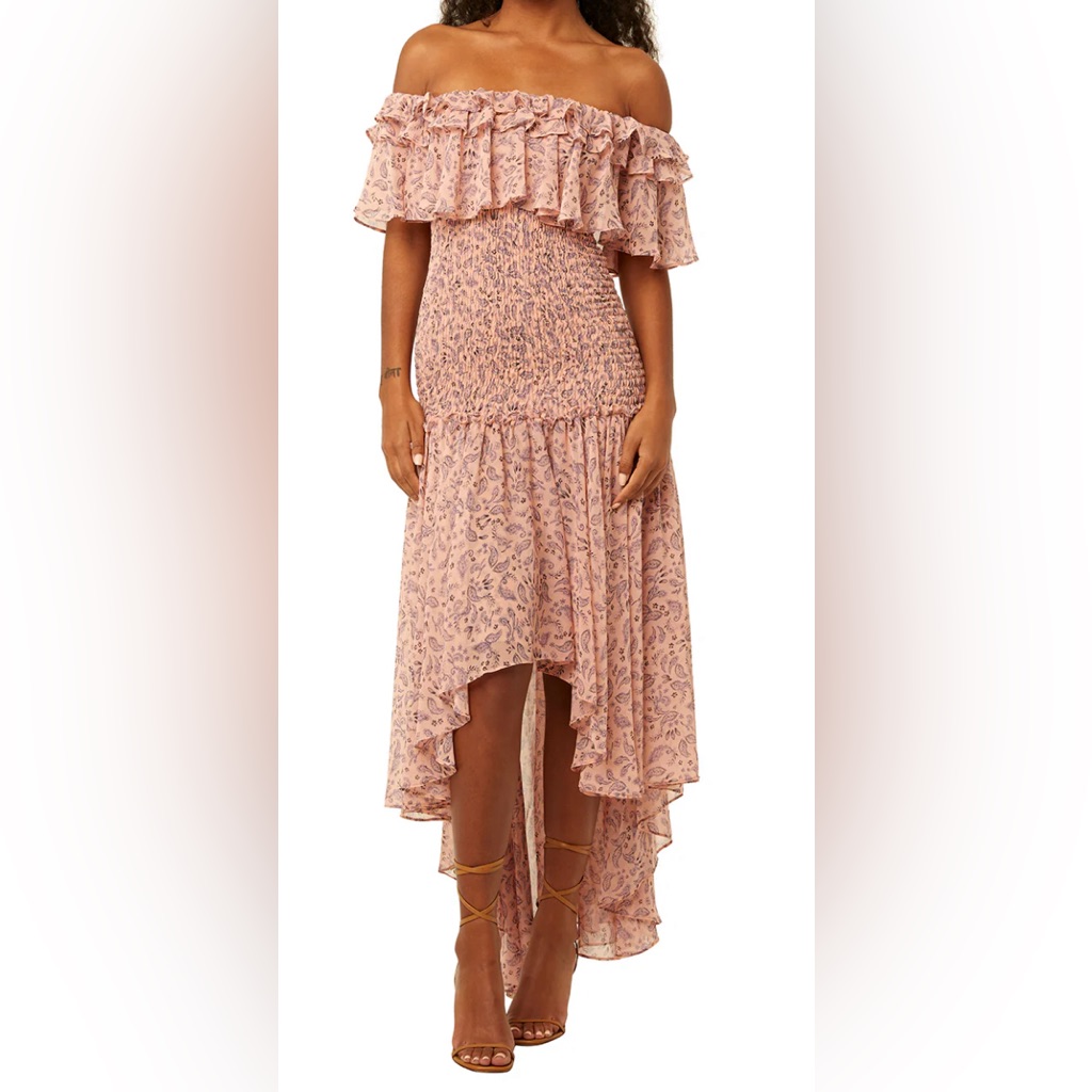 Misa - Giada Dress In Rose Paisley